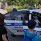 Вести из школьного лагеря